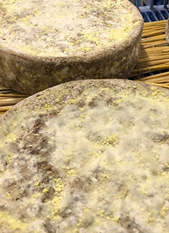 Assinatura 12 revistas