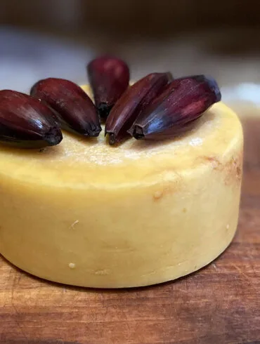 Queijo araucária.