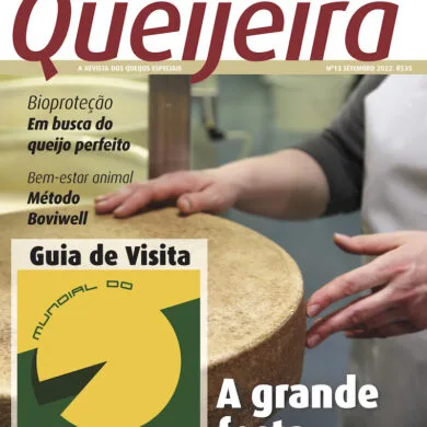 Revista Impressa nº 13