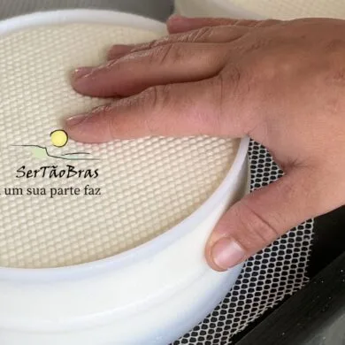 Assinatura de 1 ano para associados da STB