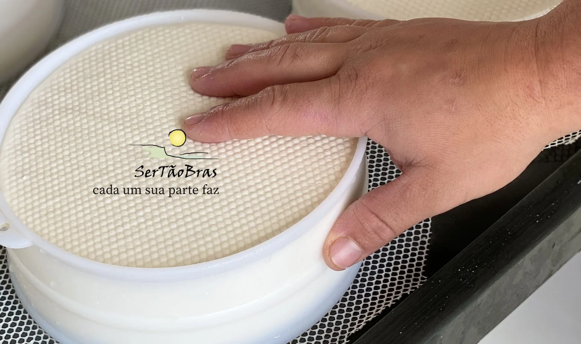 Assinatura de 1 ano para associados da STB